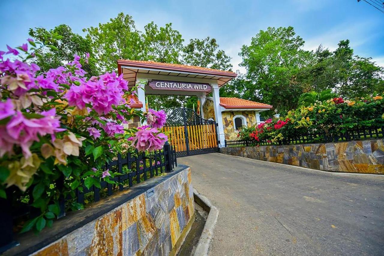 Centauria Wild Hotel Udawalawe Ngoại thất bức ảnh