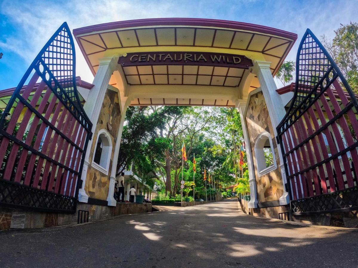 Centauria Wild Hotel Udawalawe Ngoại thất bức ảnh